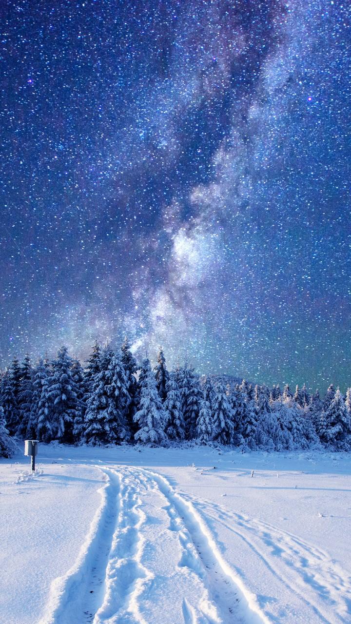 Wallpaper forest, snow, winter, sky, stars, night, 5k