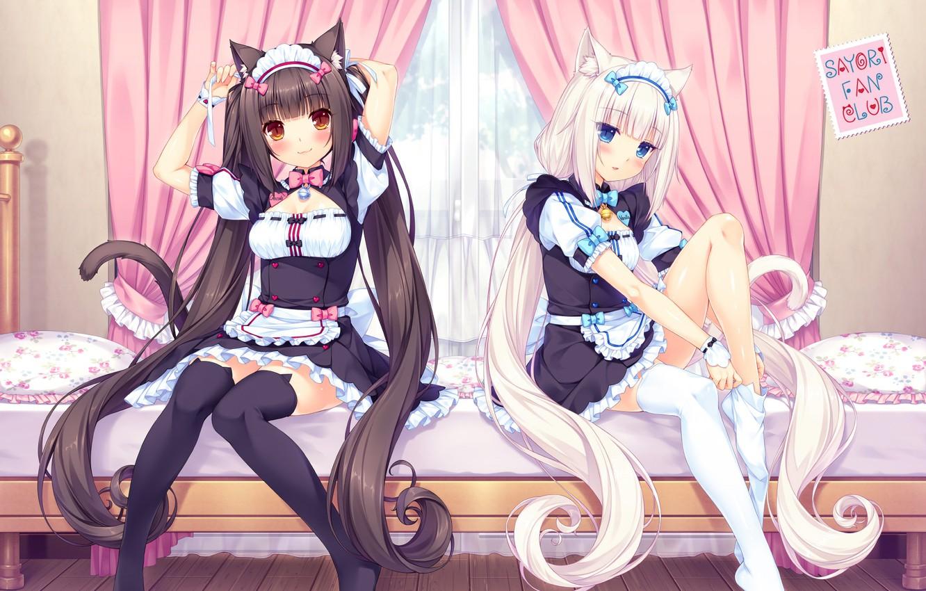 Wallpaper girls, anime, pair, Nekopara image for desktop
