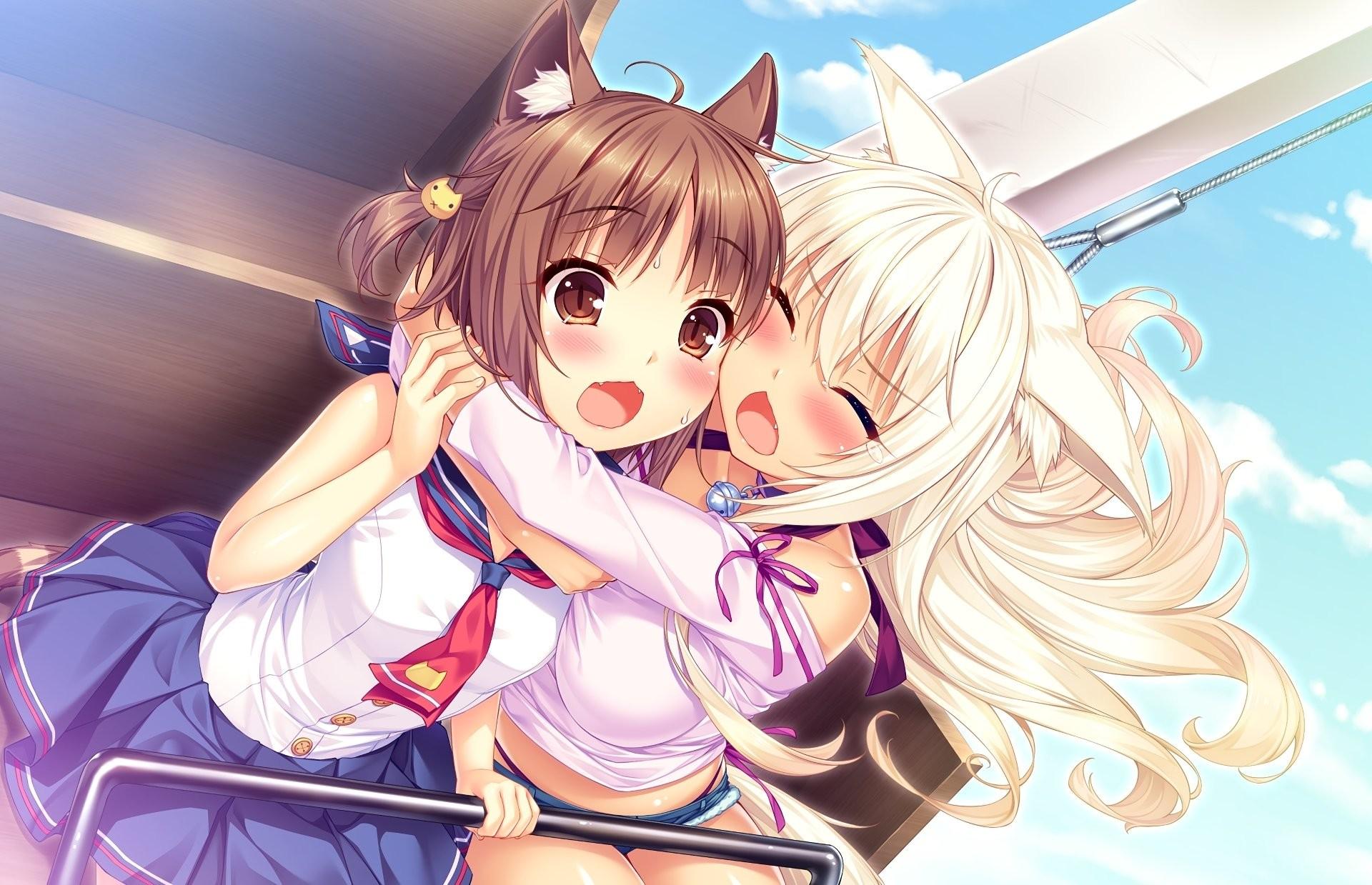 Coconut Nekopara Wallpaper