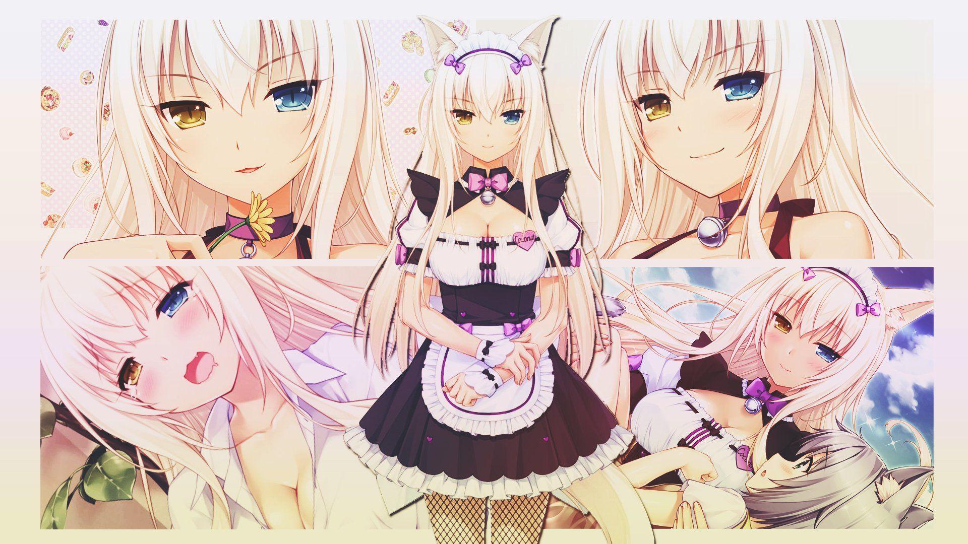 Anime Nekopara Wallpapers - Wallpaper Cave