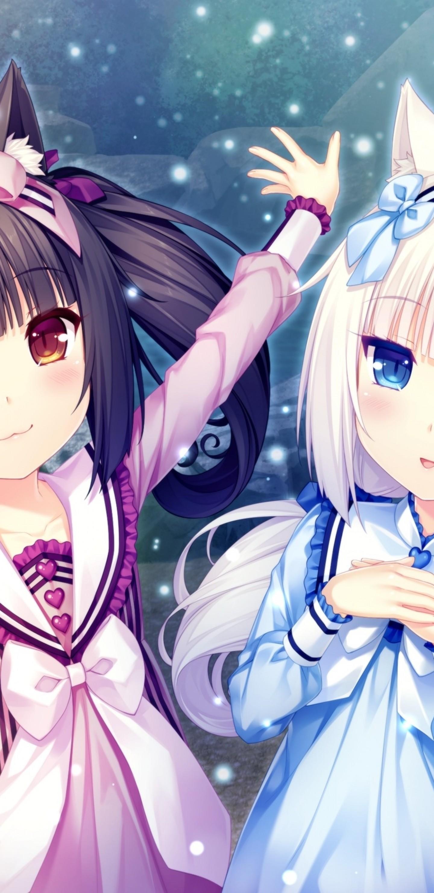 Anime Nekopara Wallpapers Wallpaper Cave