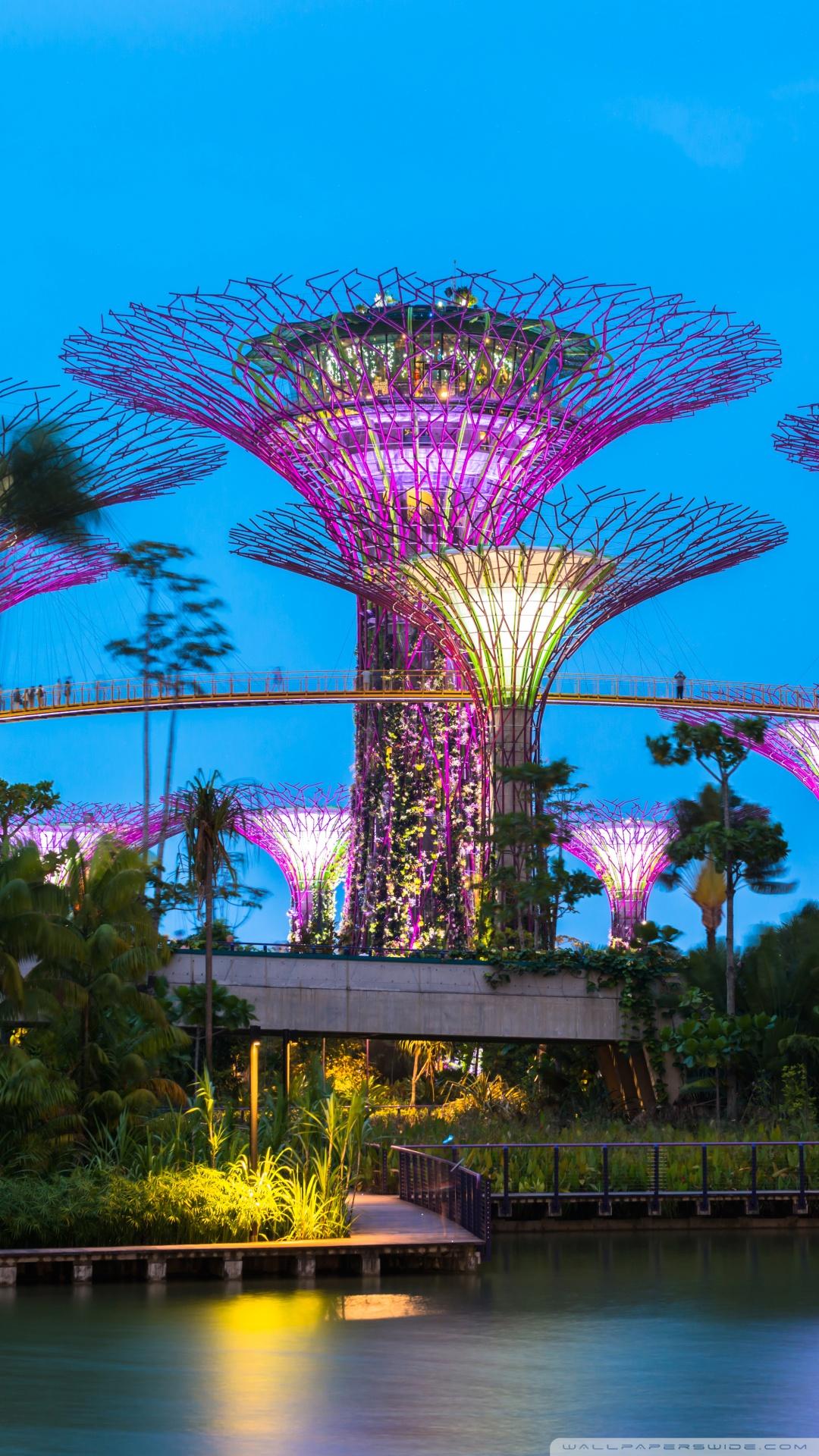 Supertree Grove, Gardens by the Bay, Singapore Ultra HD