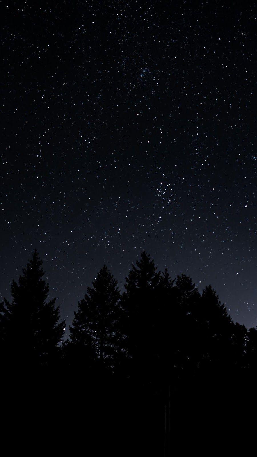 starry sky, trees, night. Night sky wallpaper