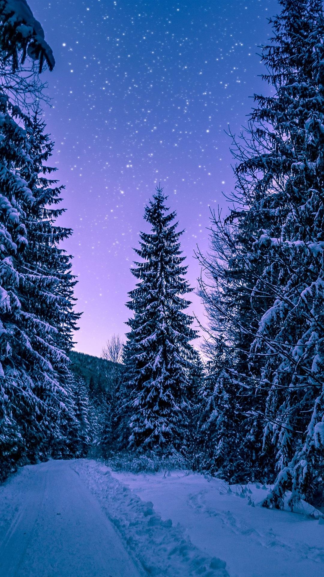 Winter, Forest, Trees, Snow, Starry 1080x1920 IPhone 8 7 6 6S Plus