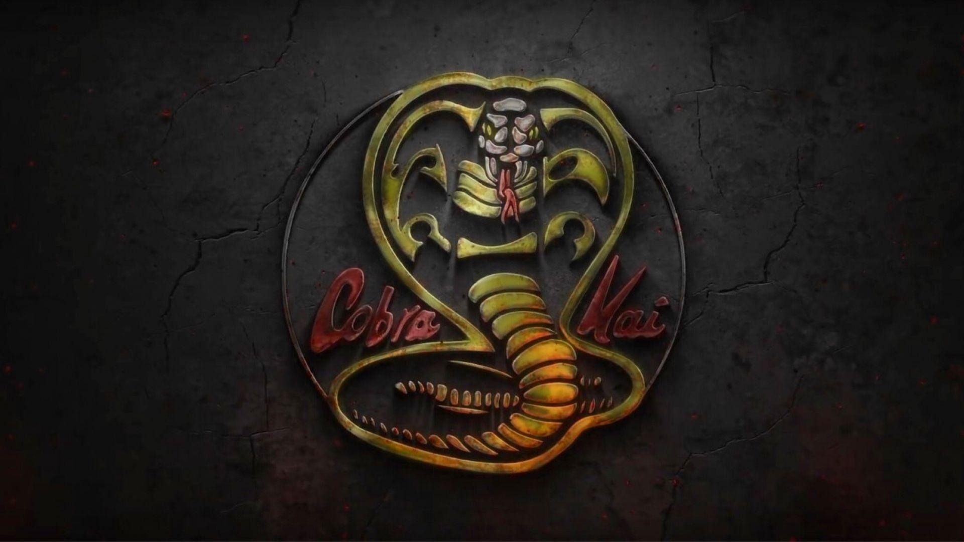Cobra Kai Season 2 Wallpapers - Wallpaper Cave