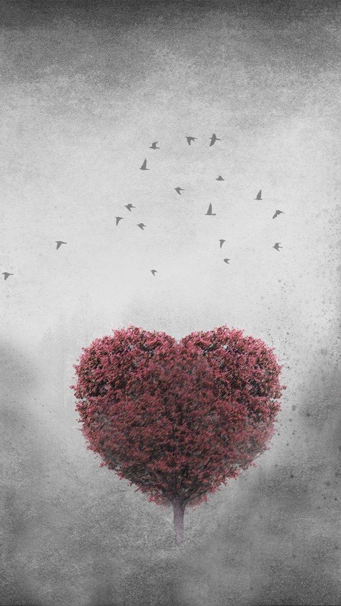 HD Wallpaper by Jonny Lindner Android-> iPhone-> #heart #tree #red #grey #wallpaper #HDWallpaper