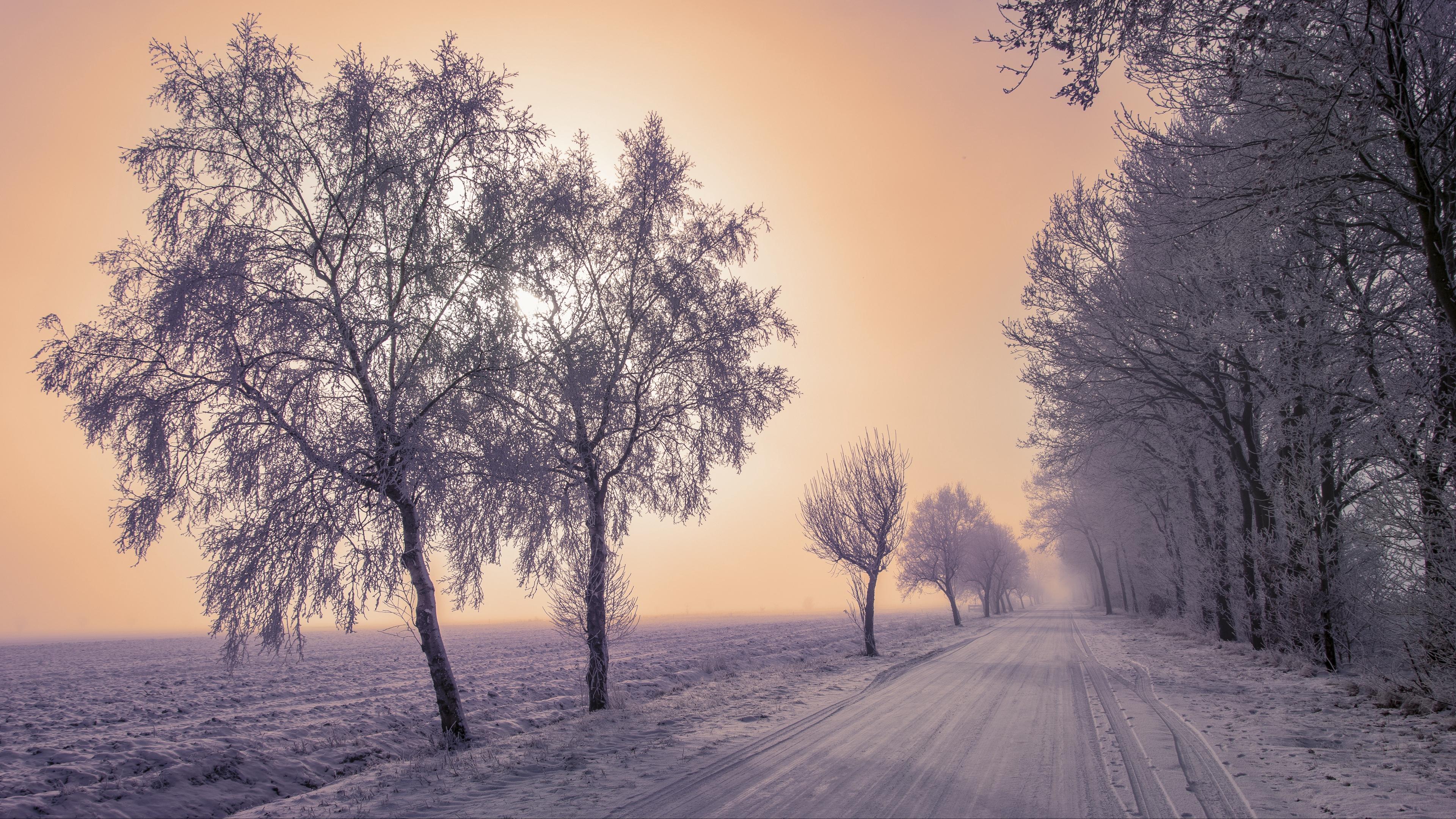 Download wallpaper 3840x2160 winter, road, snow, trees, fog