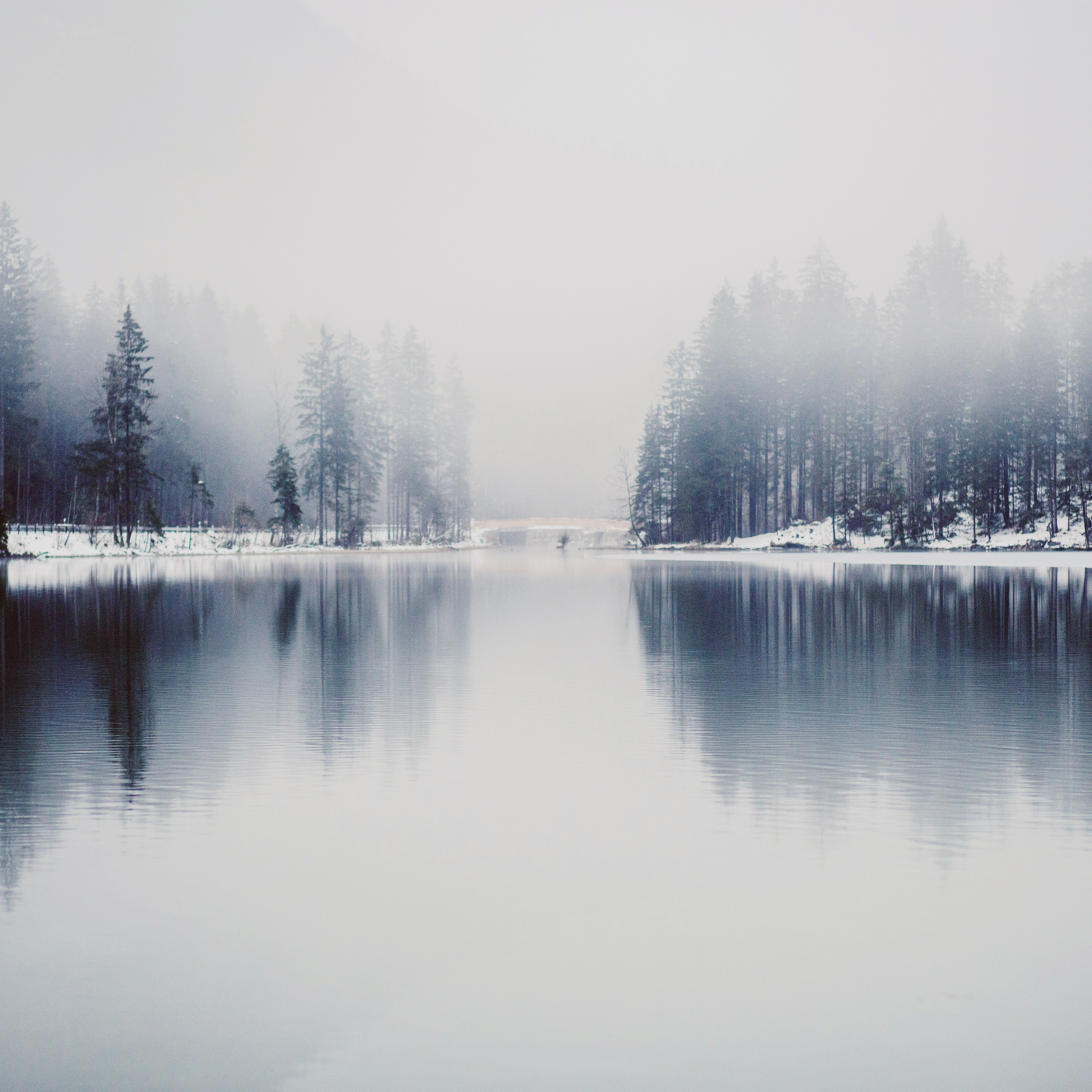 Winter Lake White Blue Wood Nature Fog Wallpaper