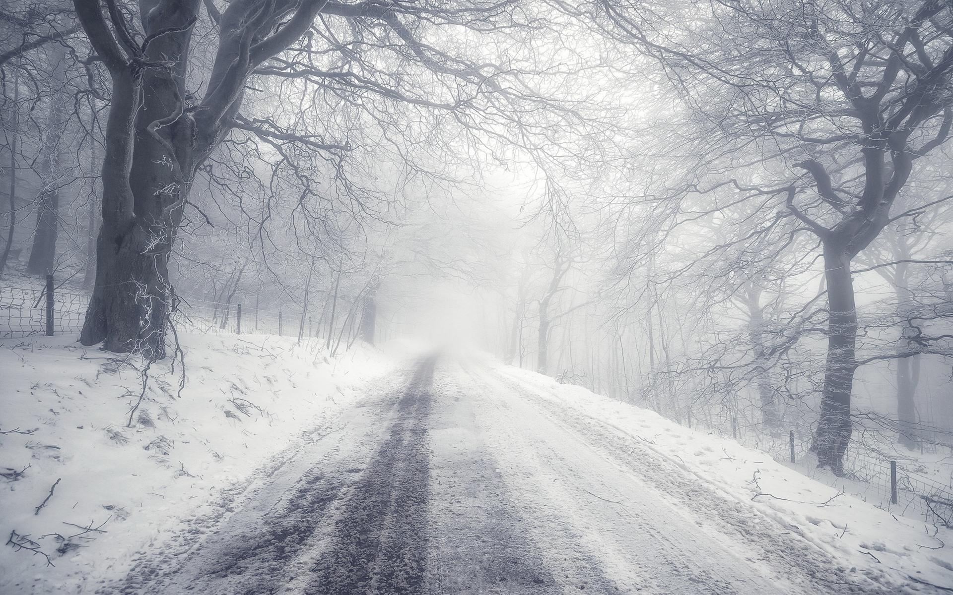 Wallpaper Winter, road, snow, trees, morning, fog 1920x1200