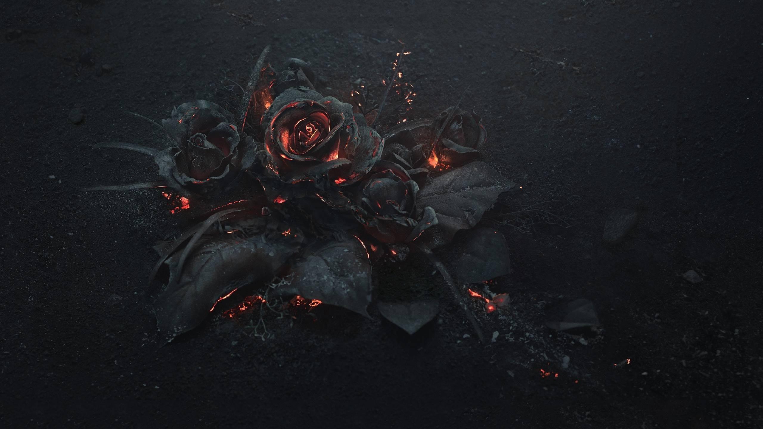 flowers, Rose, Fire, Gothic Wallpaper HD / Desktop and Mobile Background
