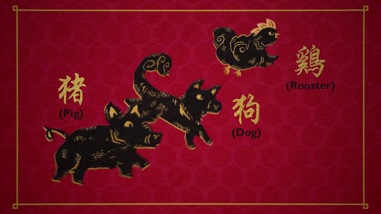 The Lunar Year of