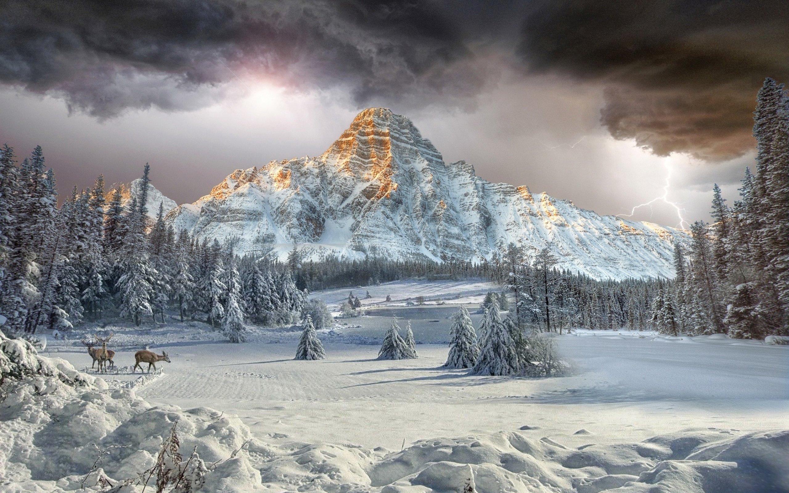 Mount Chephren Canadian Rockies Vally Winter Landscape