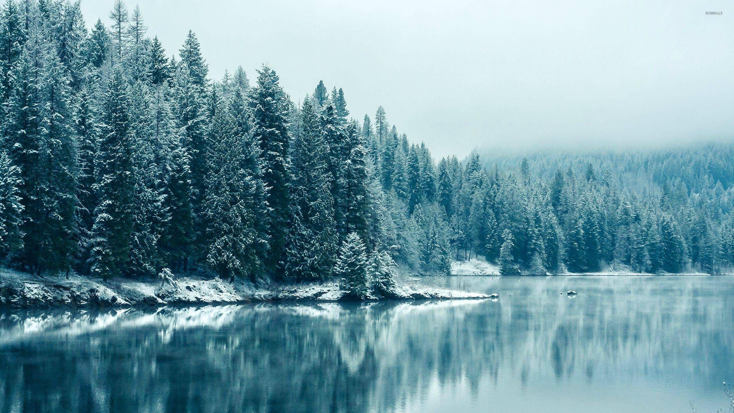 Winter Lake Wallpaper Free Winter Lake Background