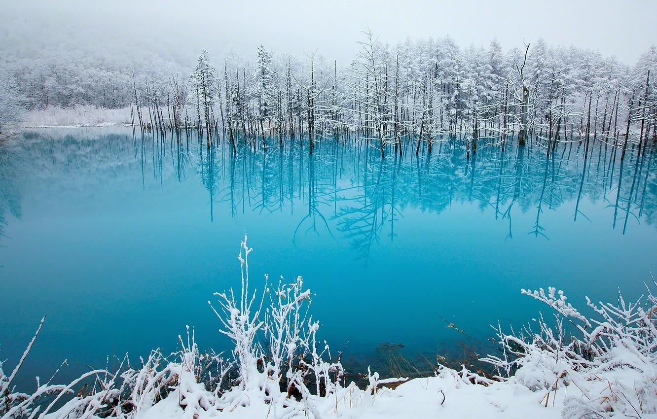 Wallpaper winter, lake, beauty, tale, Japan, photo, blue, snow, pond, Hokkaido, Kent Shiraishi, Biei image for desktop, section пейзажи