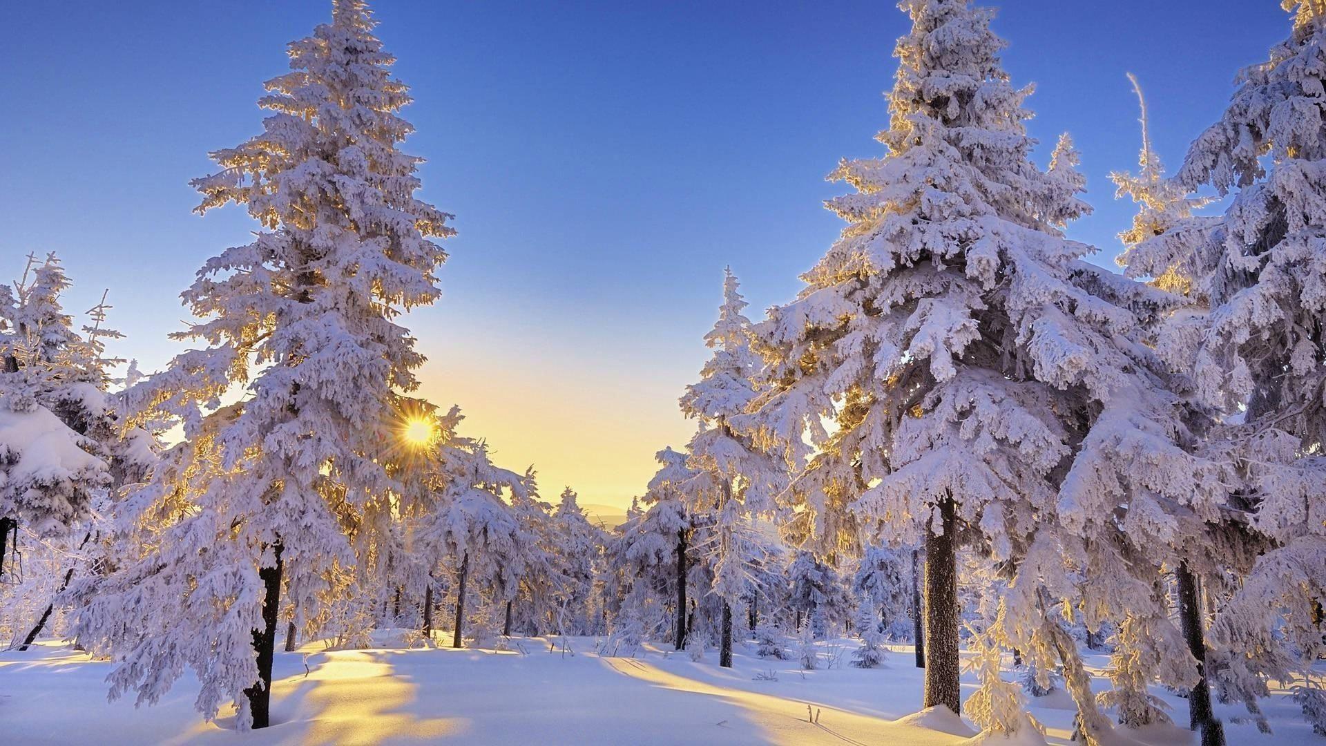 Beautiful winter sun wallpaper desktop. Winter