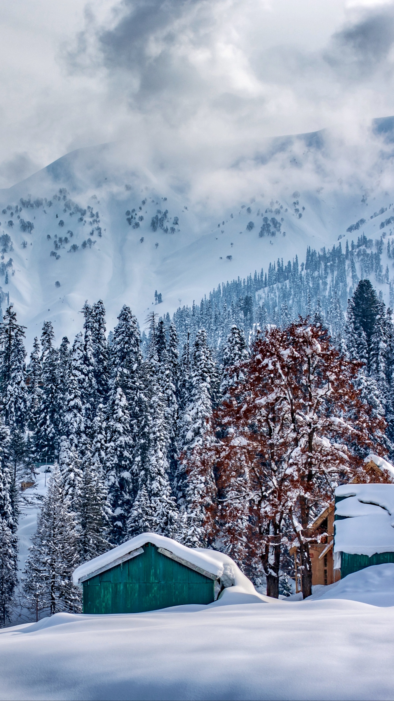 Download wallpaper 1350x2400 himalayas, kashmir, mountains