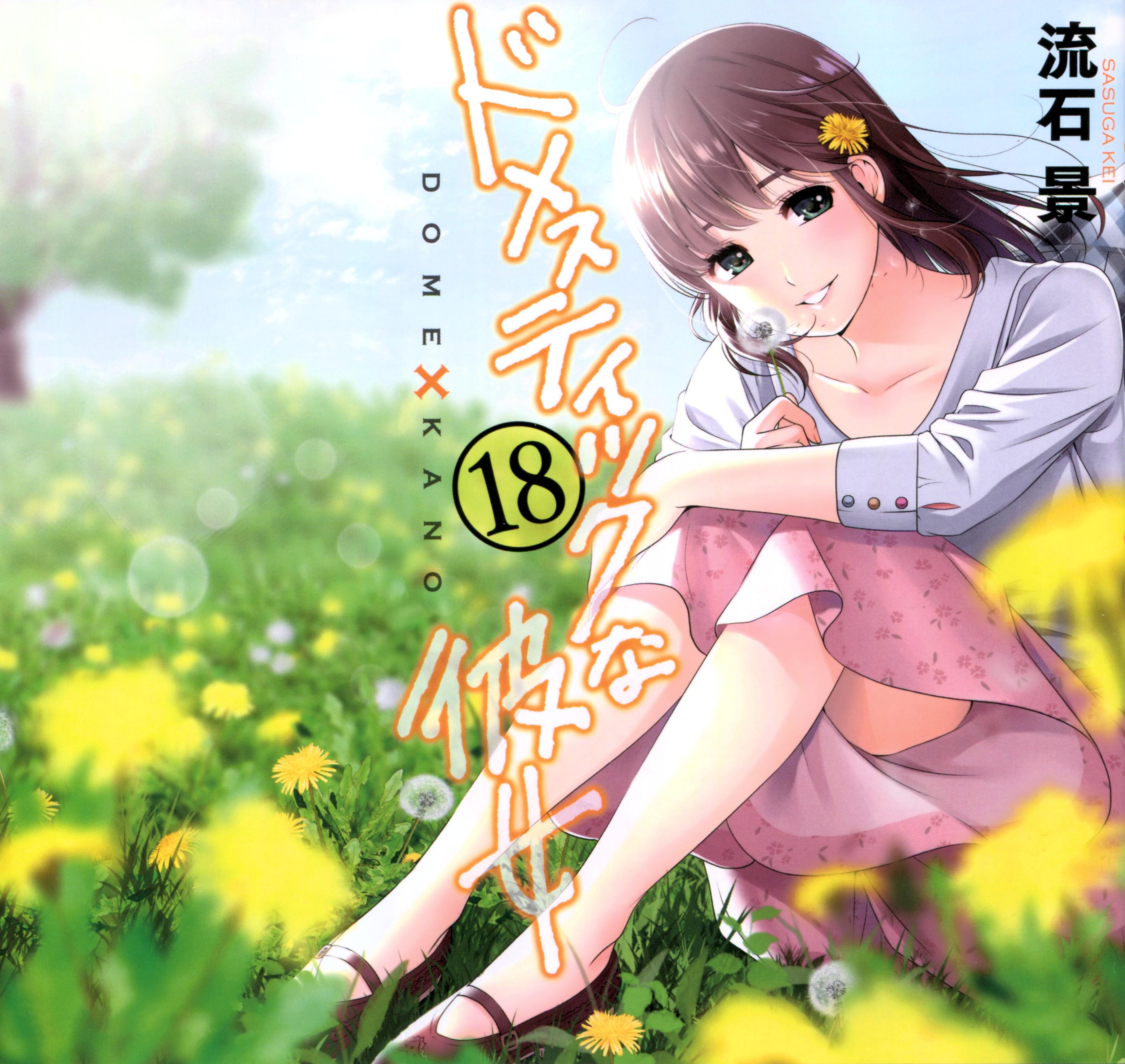 Tachibana Hina - Domestic na Kanojo - Zerochan Anime Image Board