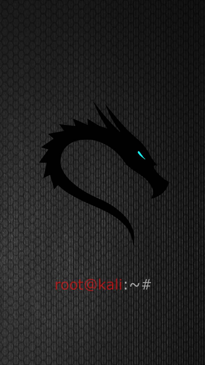 4k Kali Linux Android Wallpapers - Wallpaper Cave
