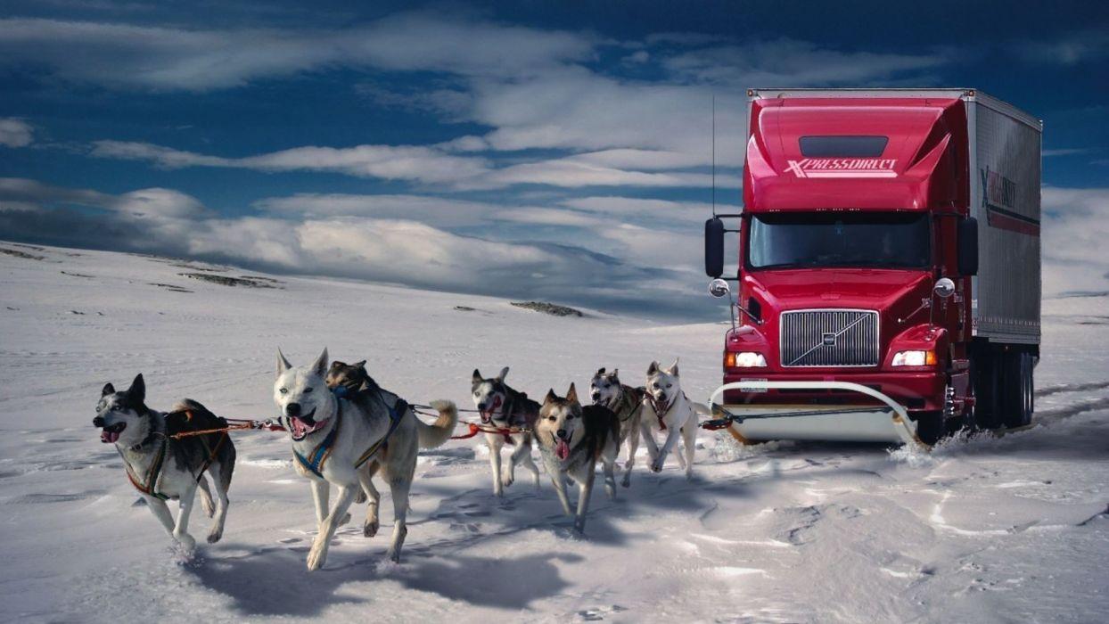 Snow dogs trucks fantasy art digital art artwork wallpaper