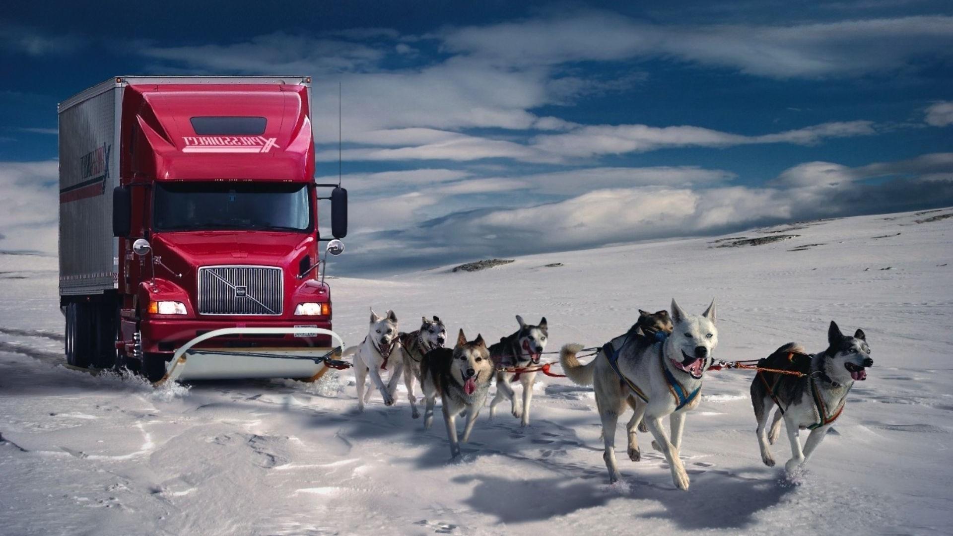 Snow Dogs Pull Trucks Wallpaper HD / Desktop and Mobile Background