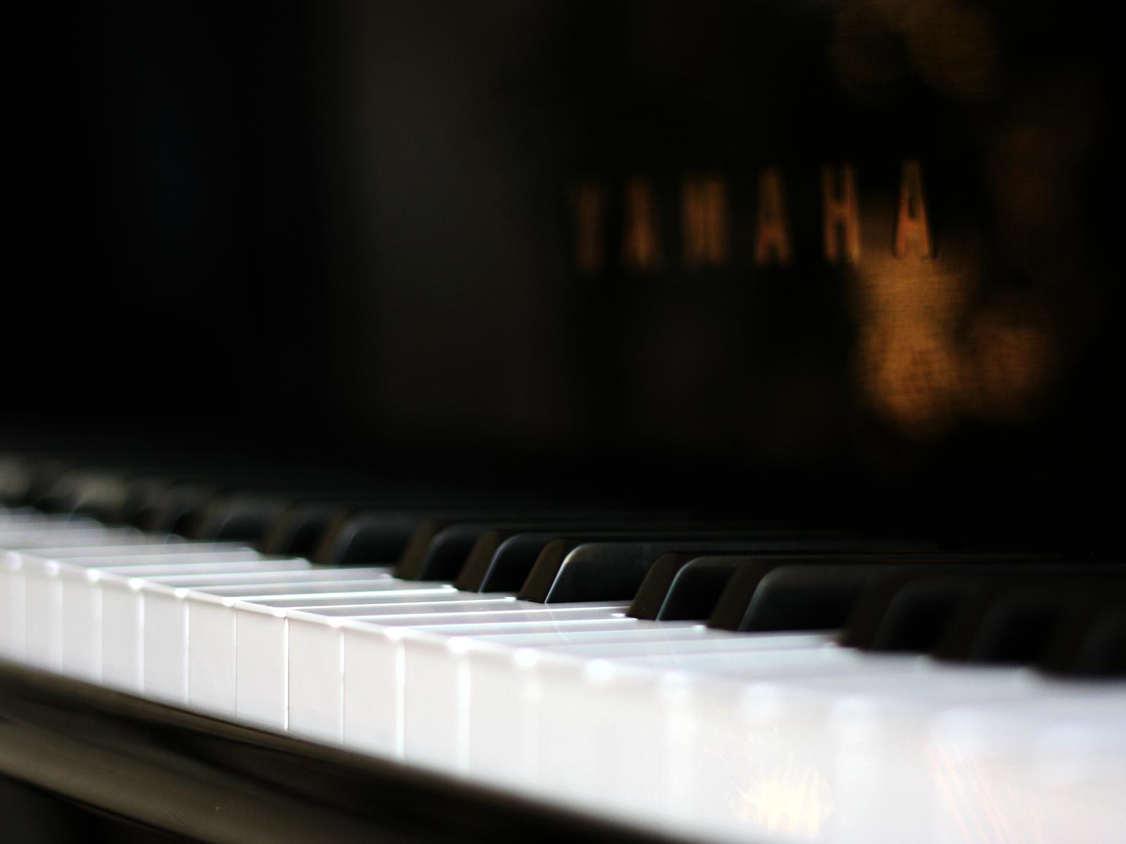 Yamaha Piano Keyboard Macro Photo HD Wallpaper Vvallpaper
