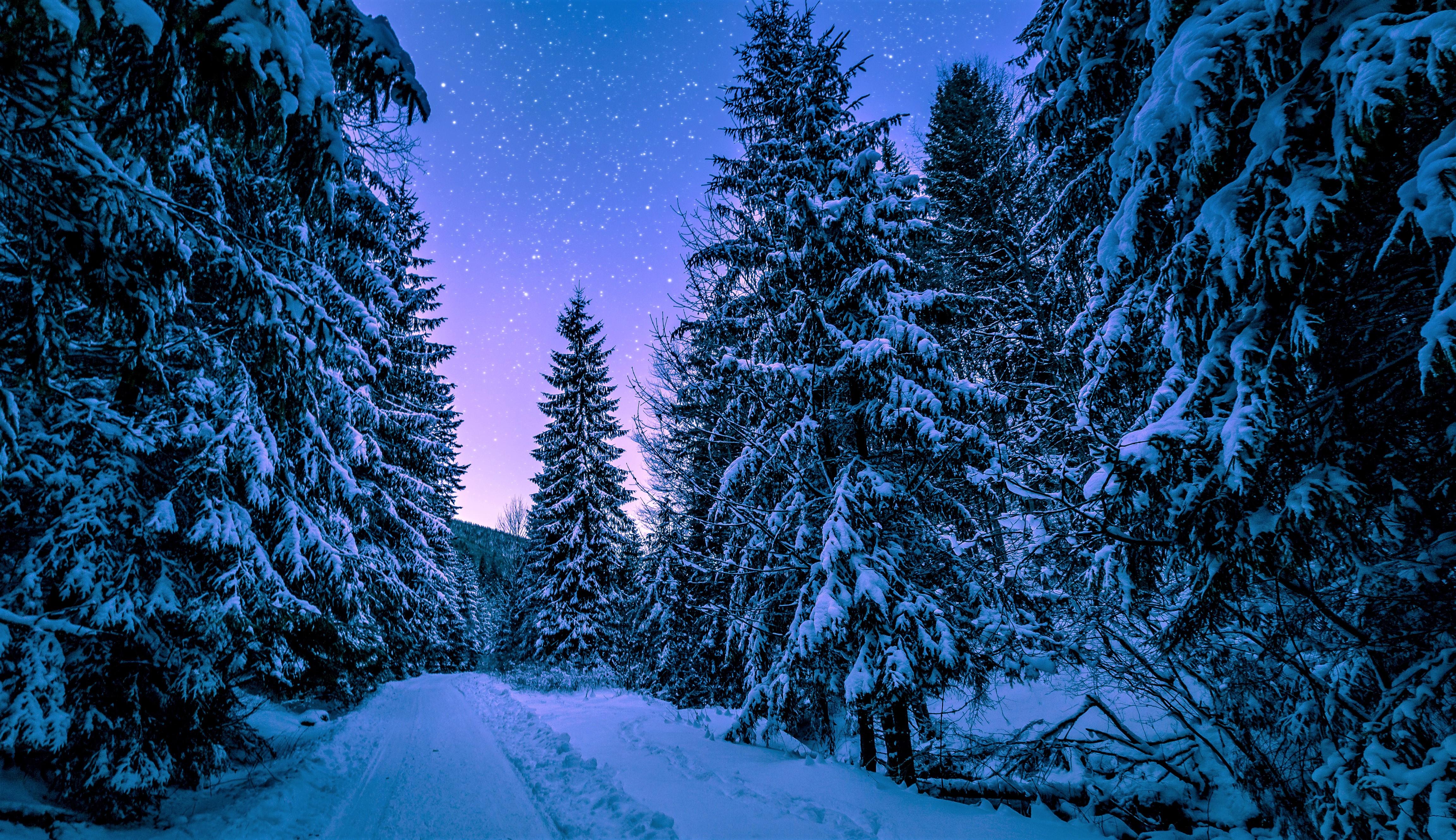 Starry Winter Night 4k Ultra HD .wall.alphacoders.com