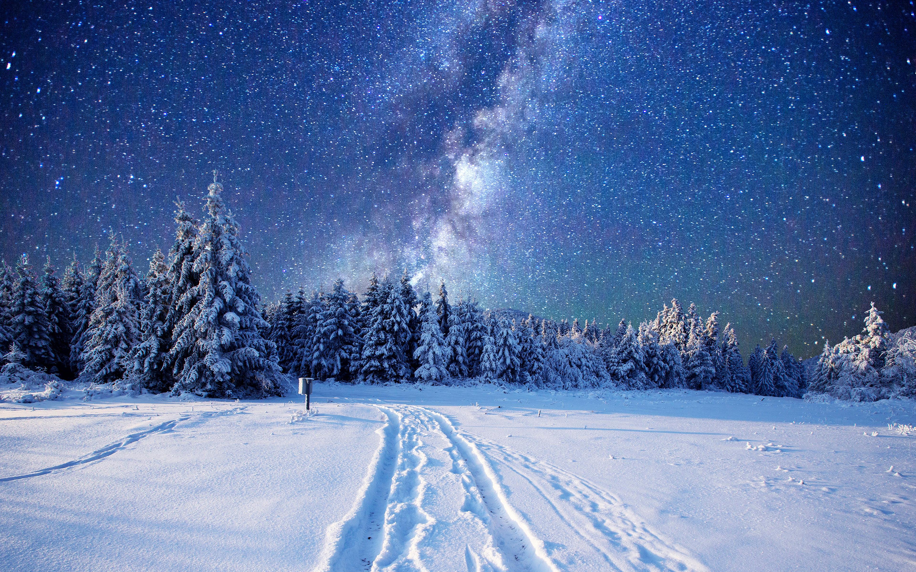 Winter 4k Ultra HD Wallpaper Night Landscape, HD