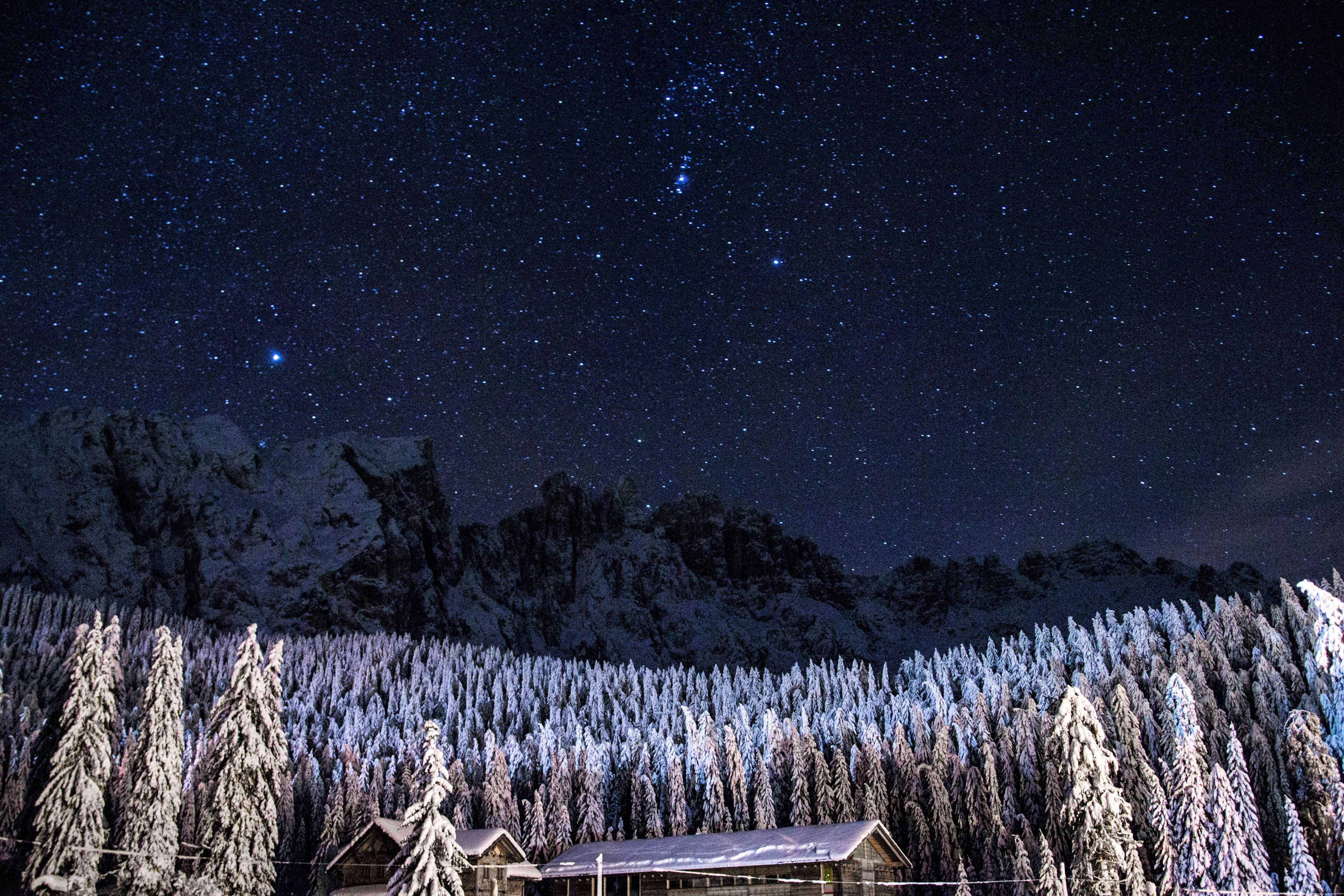 Starry Winter Night 4k Ultra HD Wallpaper. Background Image