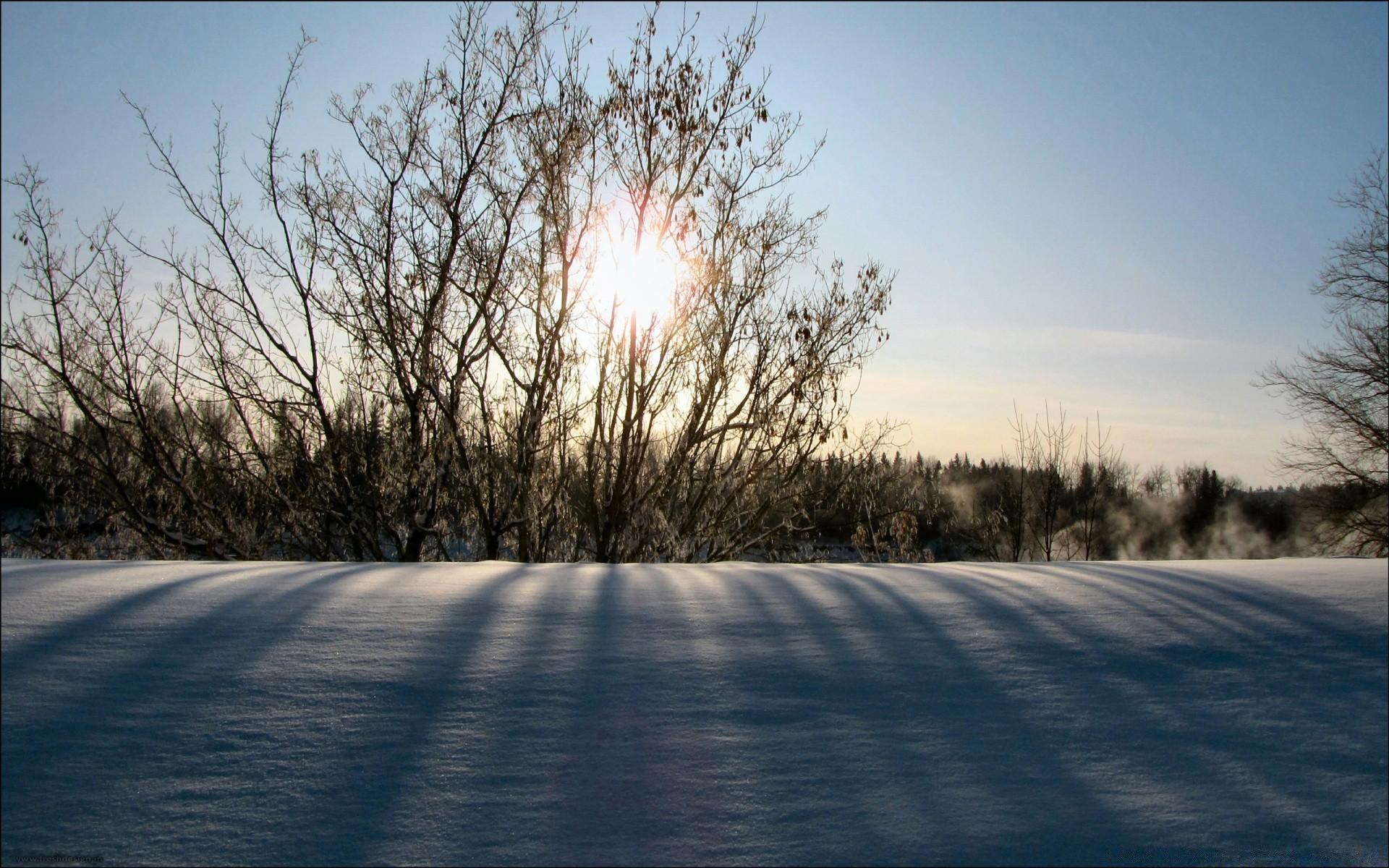 Winter Morning