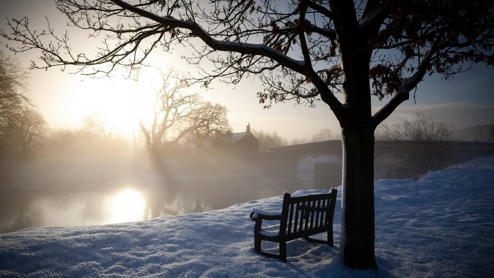 Download 1600x900 Winter, Morning, Bech, Snow, Tree, Bridge