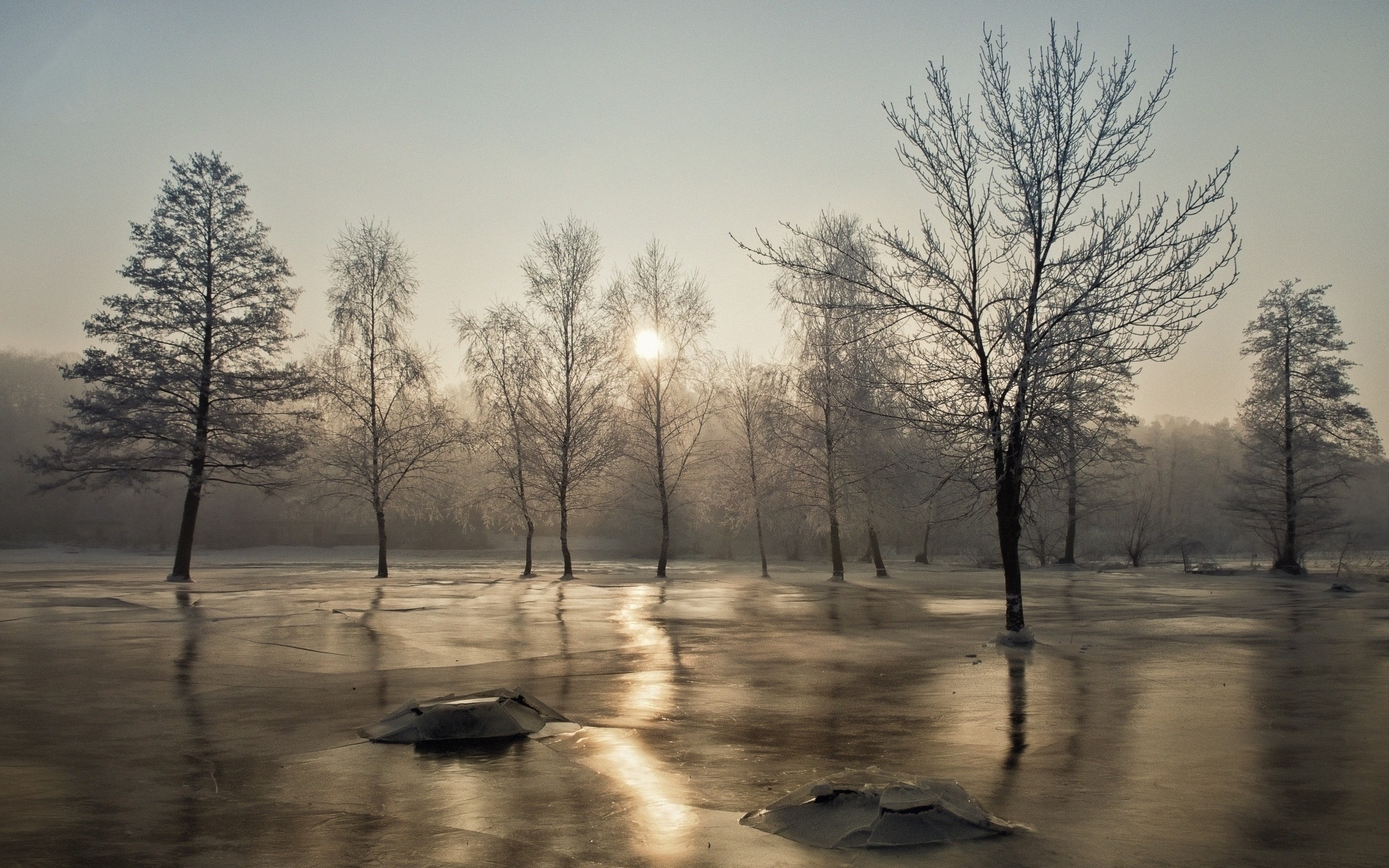 nature landscape winter morning frost trees mist sunrise