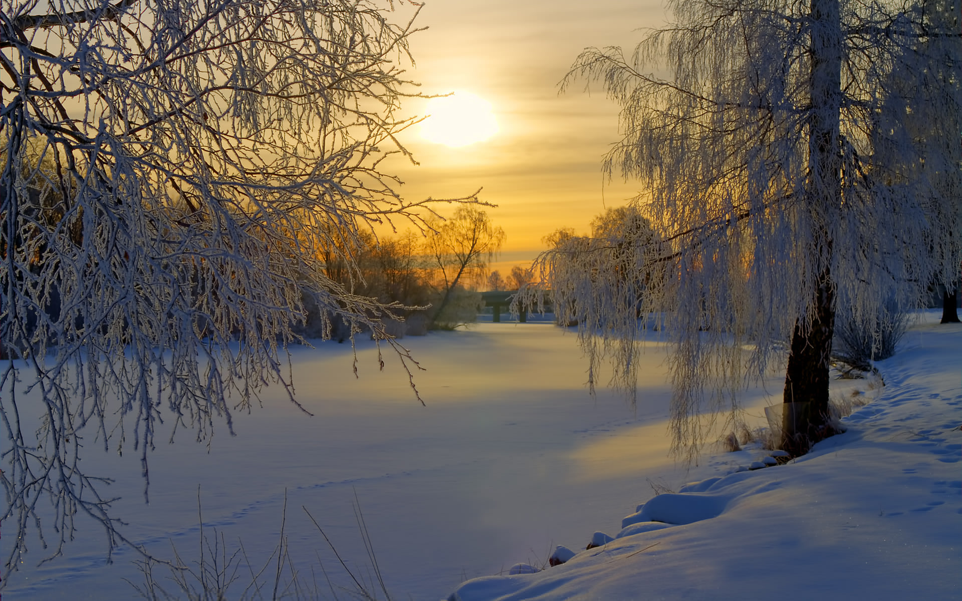 Sweden winter snow frost forest trees meadow morning sun