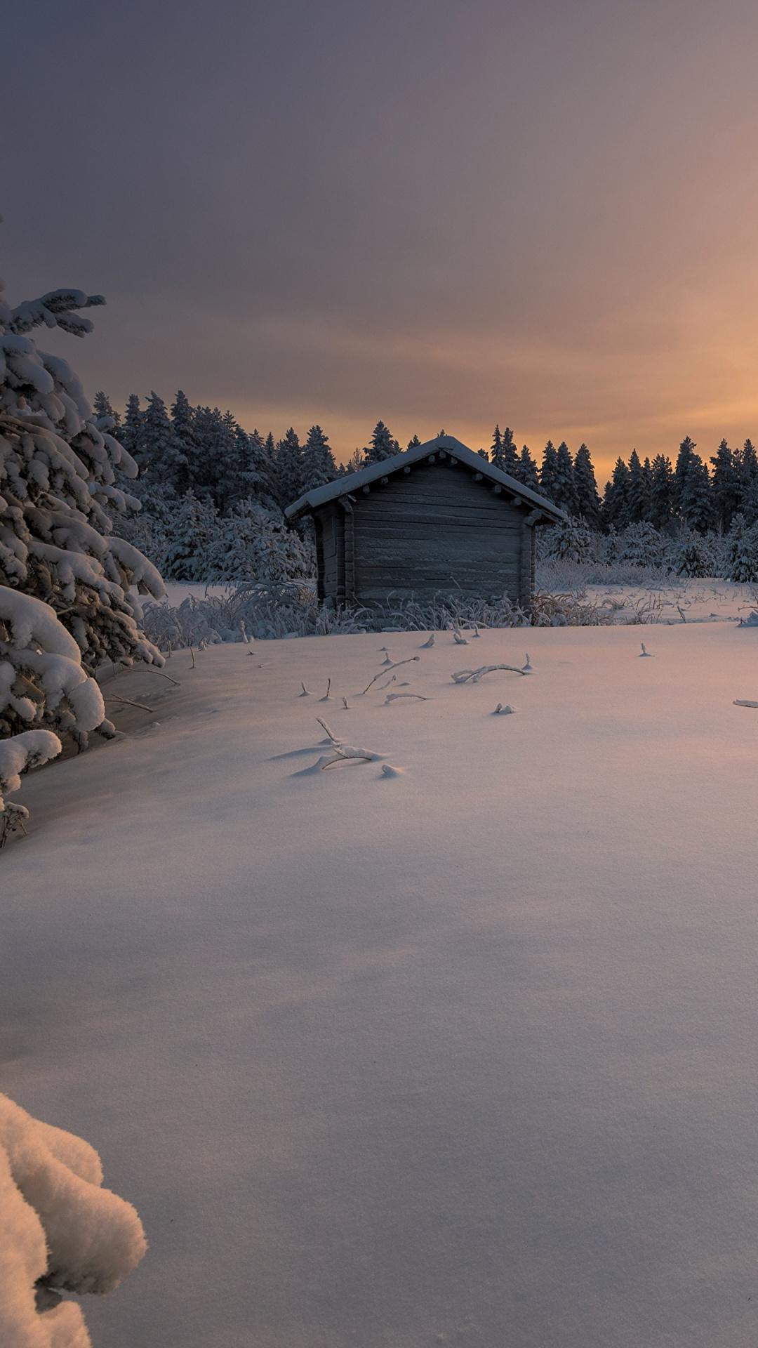 Sunset, Sunrise, Morning, Winter, Snow Wallpaper