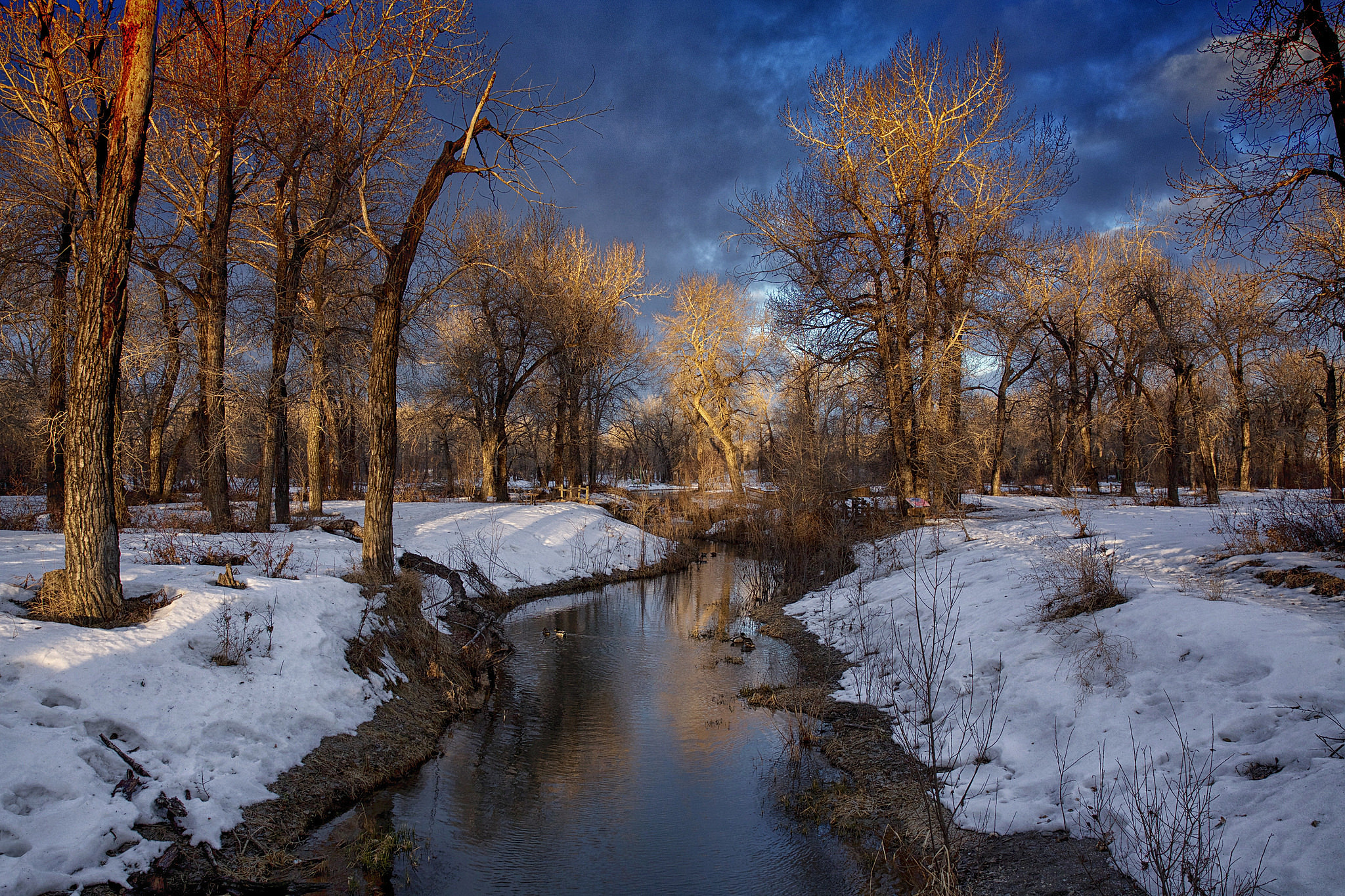 Beautiful winter morning. Download wide wallpaper landscapes PC. Winter, snow, creek