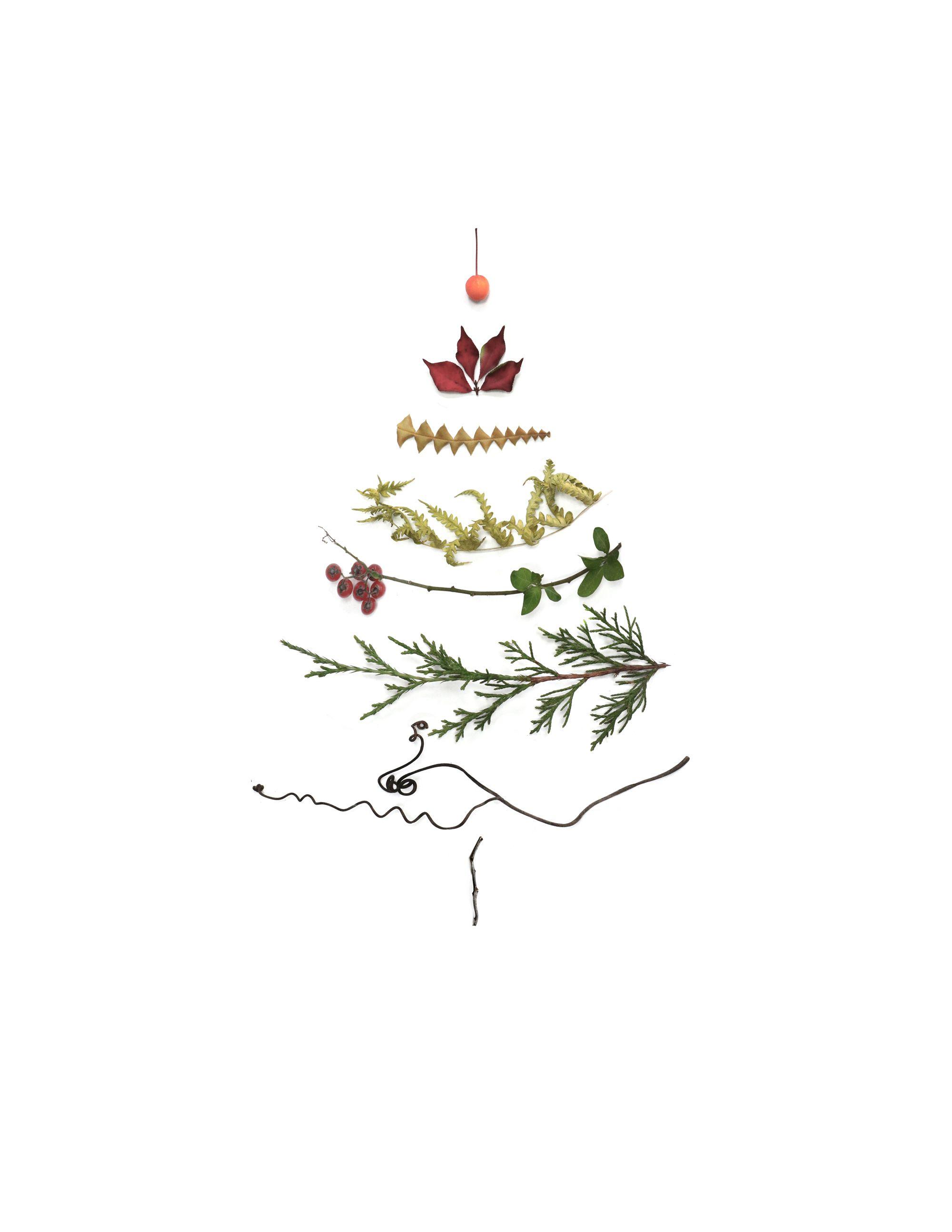 something into something else. STILL. Happy holiday cards, Minimalist christmas, Christmas picture