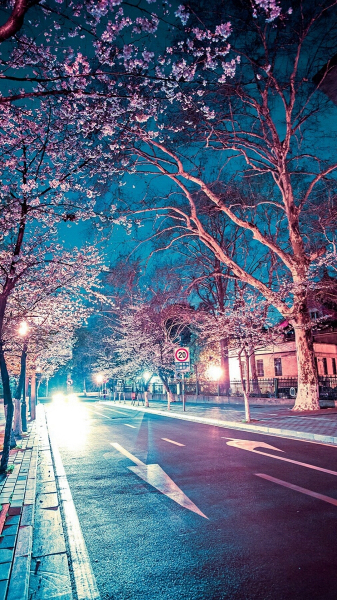 Japanese Street Cherry Blossom Night Scenery iPhone 8 Wallpaper Free Download
