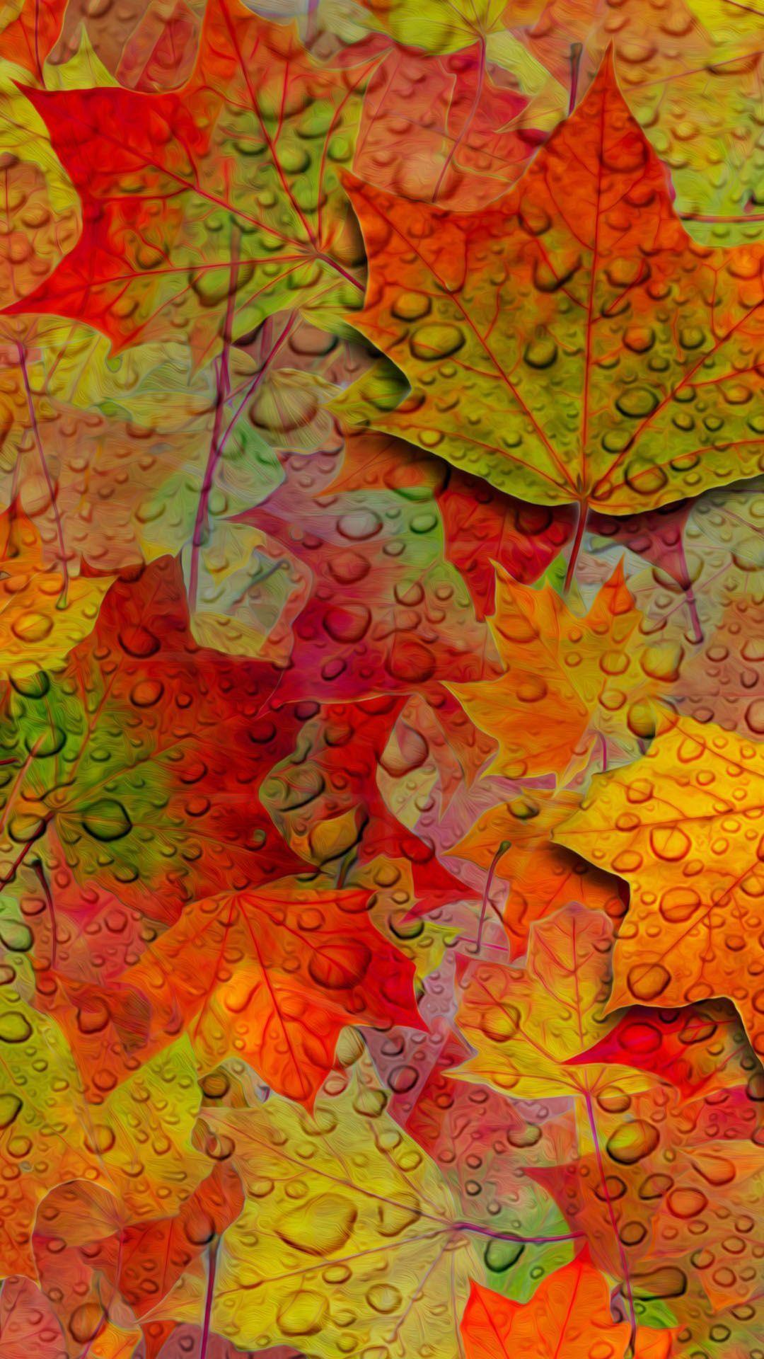 Fall Leaves Wallpaper for Android. Autumn leaves