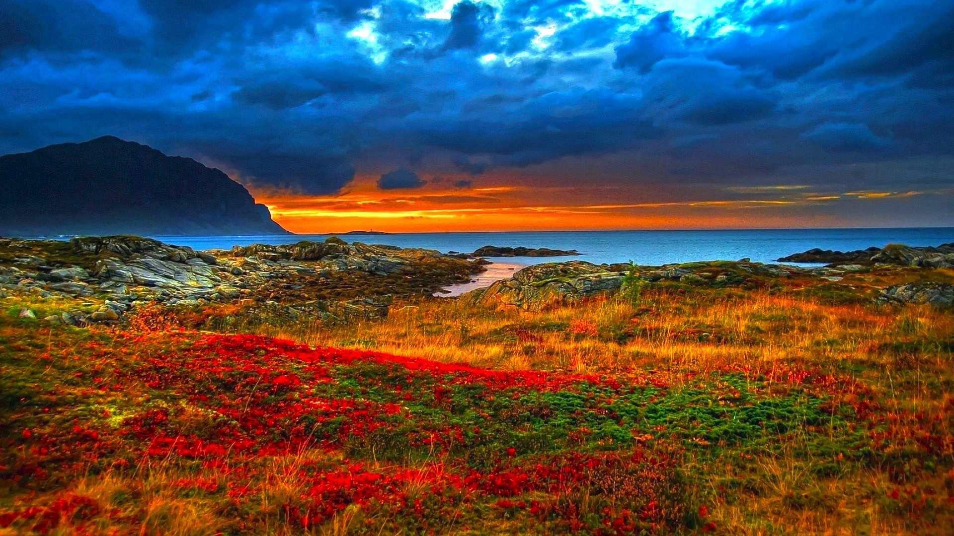 Amazing Beautiful Orange Colorful Field Perfect Peace Dream