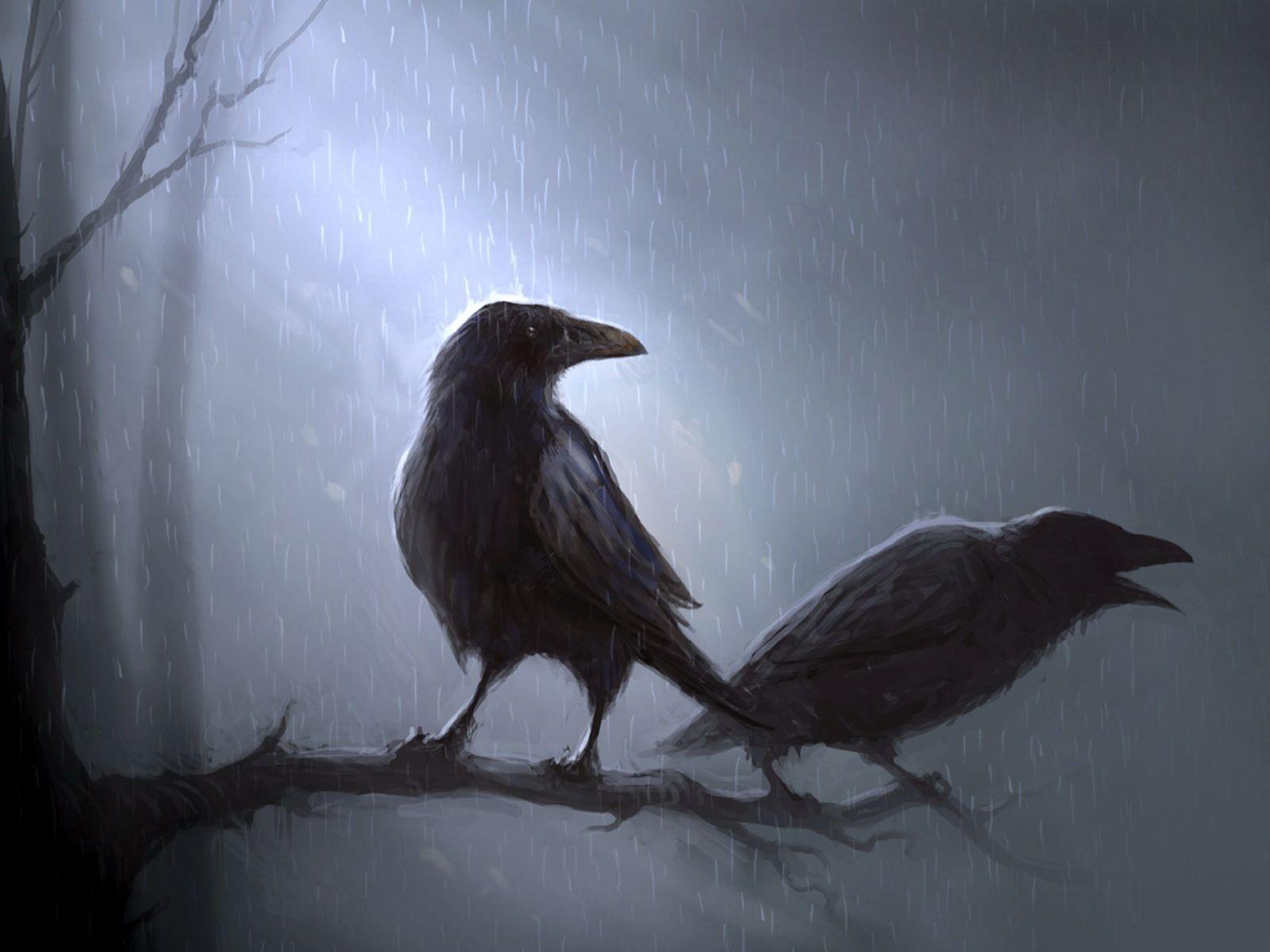 Crows in the Rain Painting. Raven art, Crow art