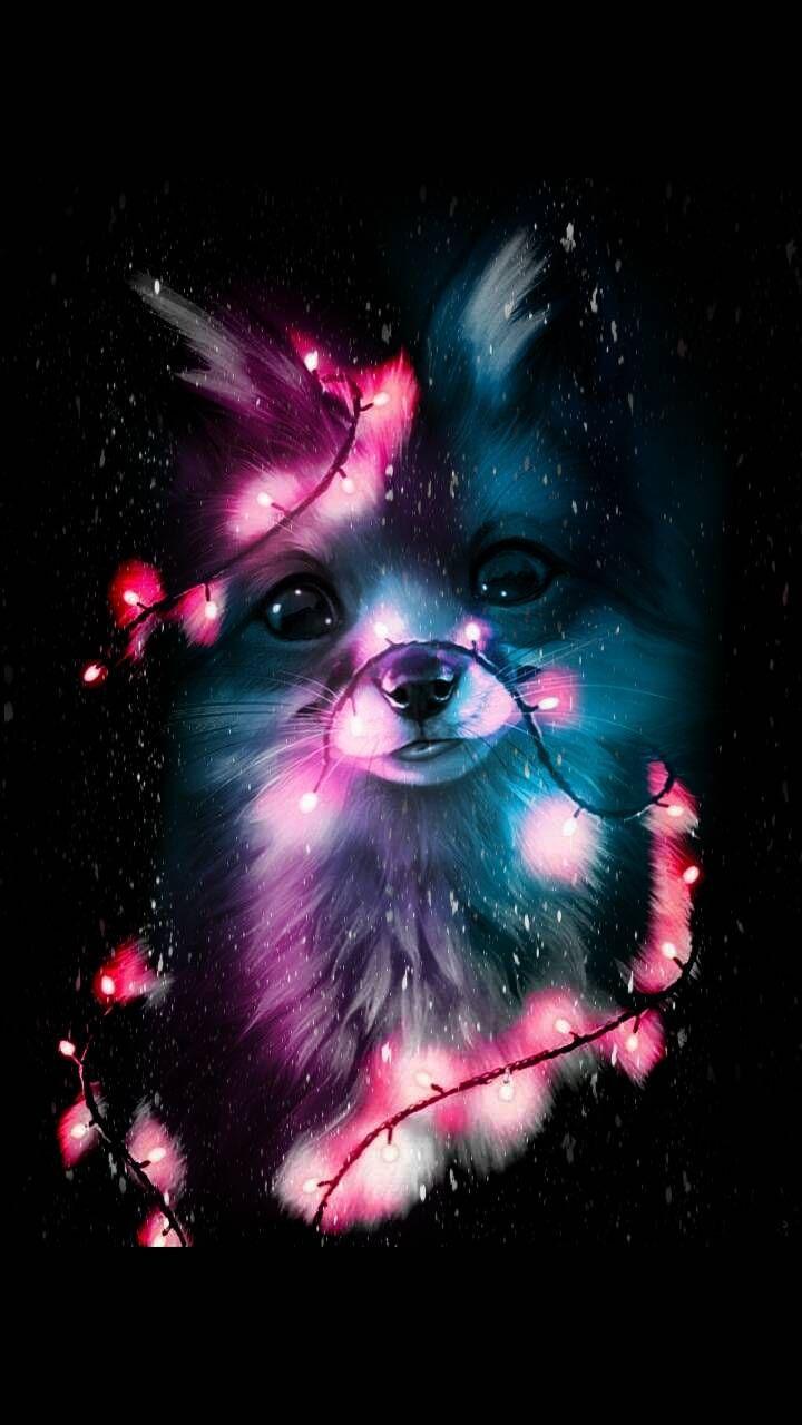 WOLF GALAXY fox galaxy howl wolf HD phone wallpaper  Peakpx