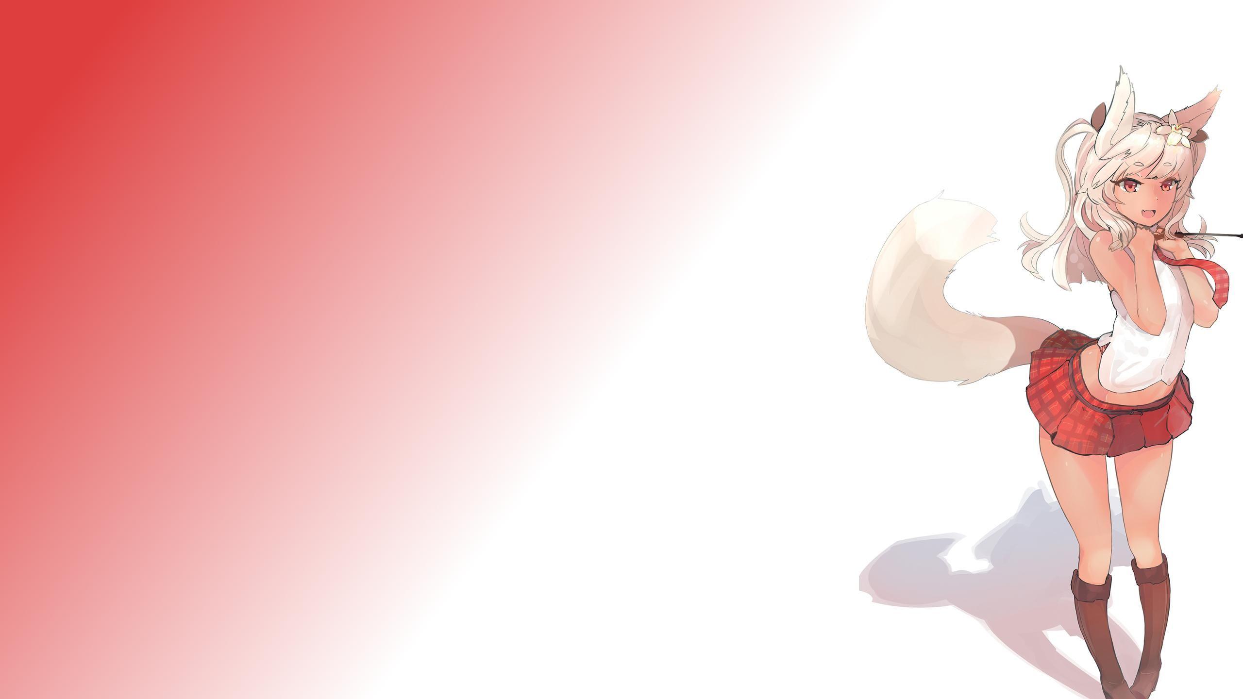 A cute Fox 2560x1440 HD Wallpaper From Gallsource.com