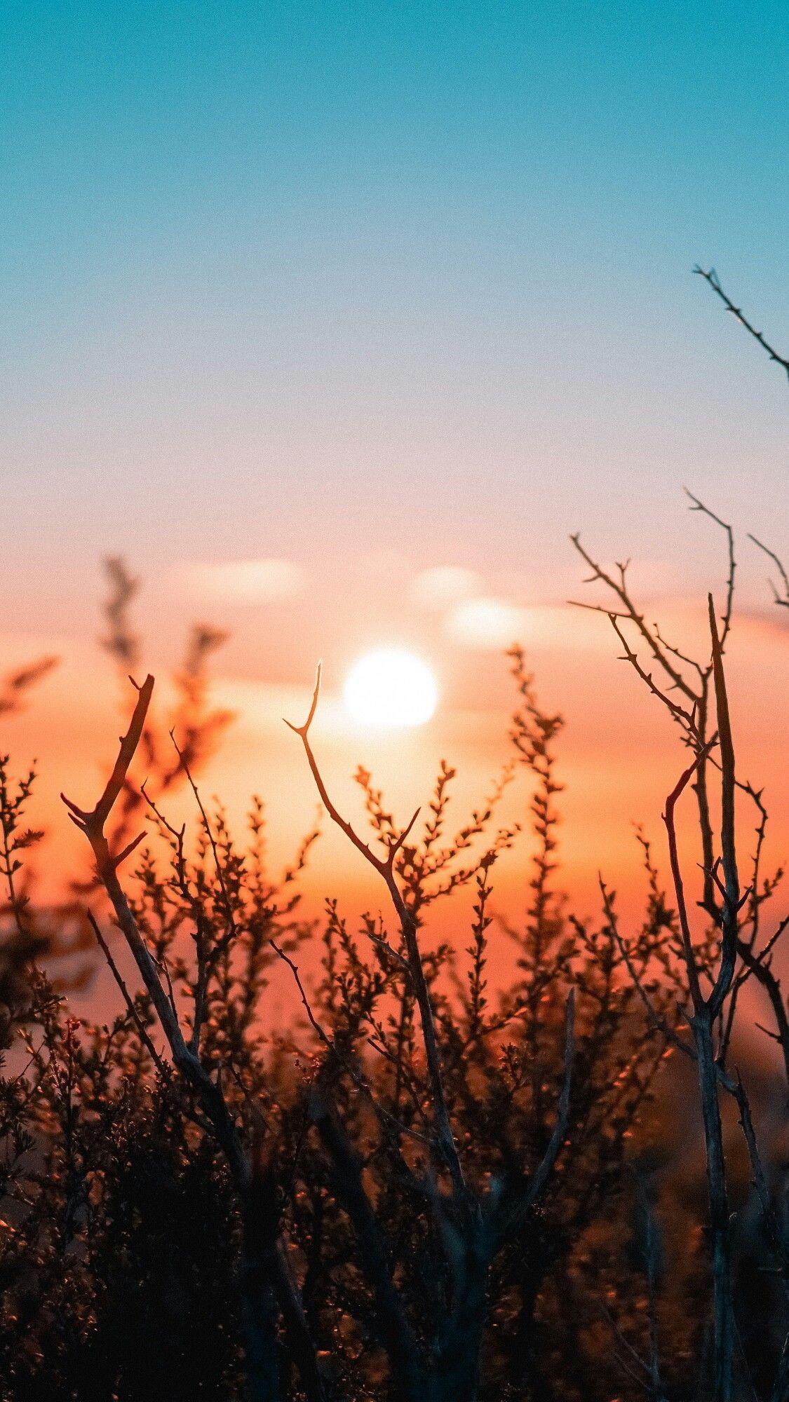 sunsets & sunrise. HD phone
