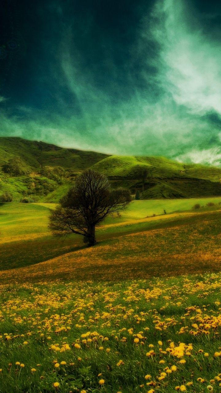 Download Wallpaper 720x1280 Field, Hills, Flowers, Landscape
