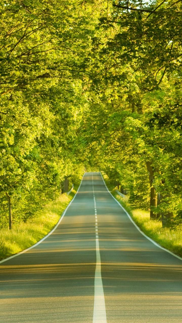 Clear Road Nature 720x1280