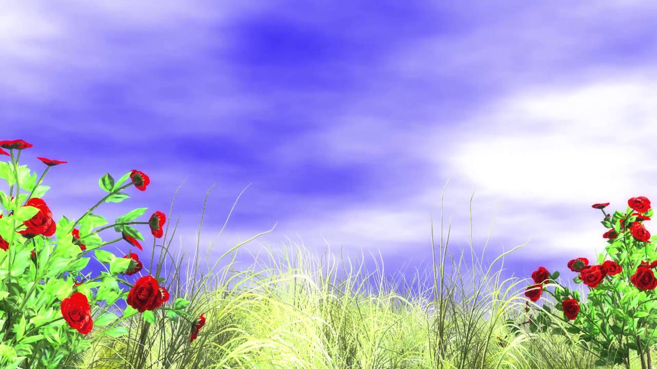 Photo Background Image Free Download, Best Background