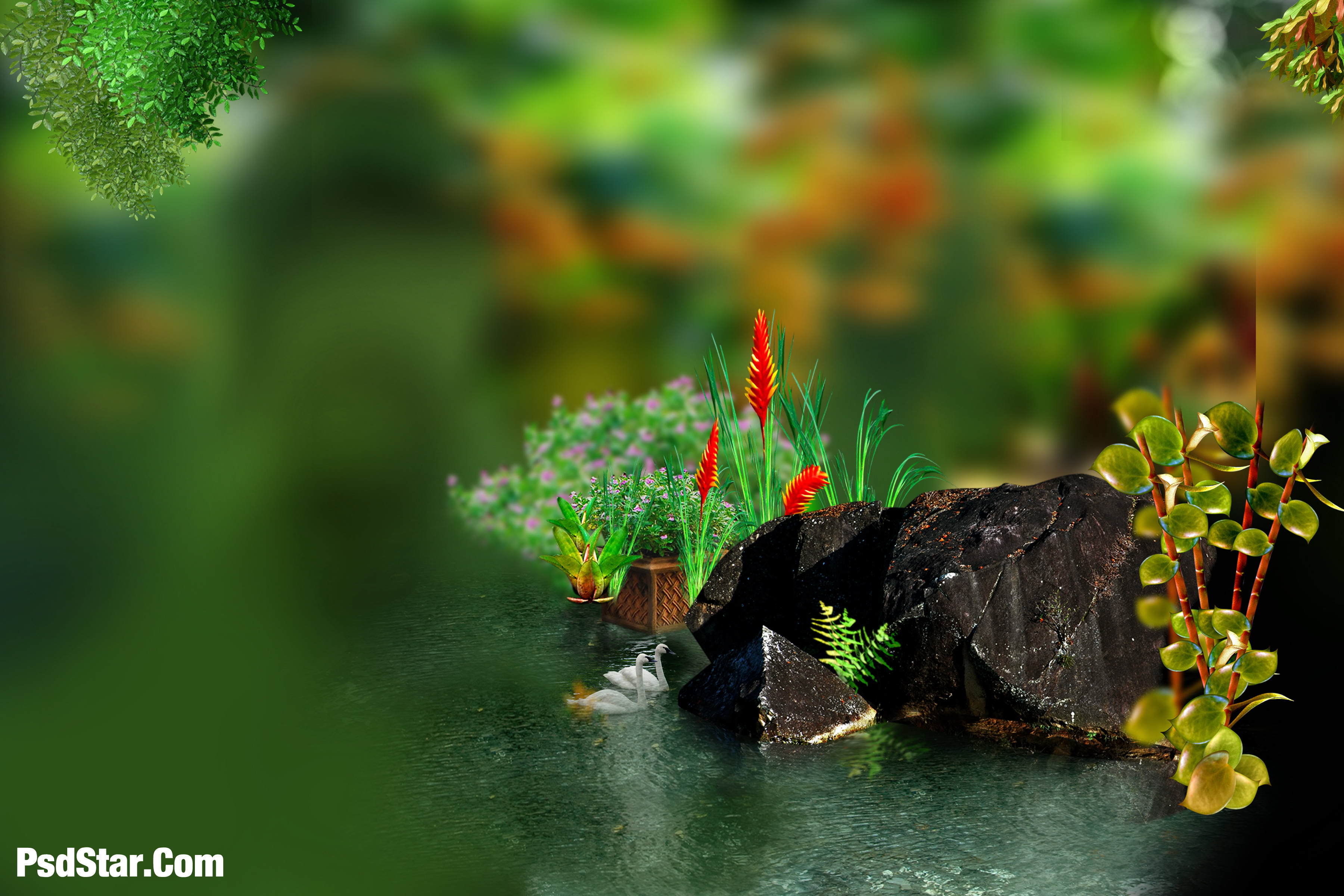 Studio Photography HD 1080p Wallpapers Wallpaper Cave