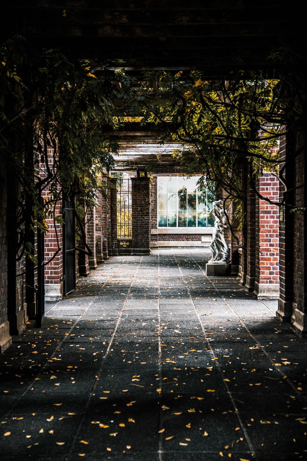 Photography Backgrounds Hd
