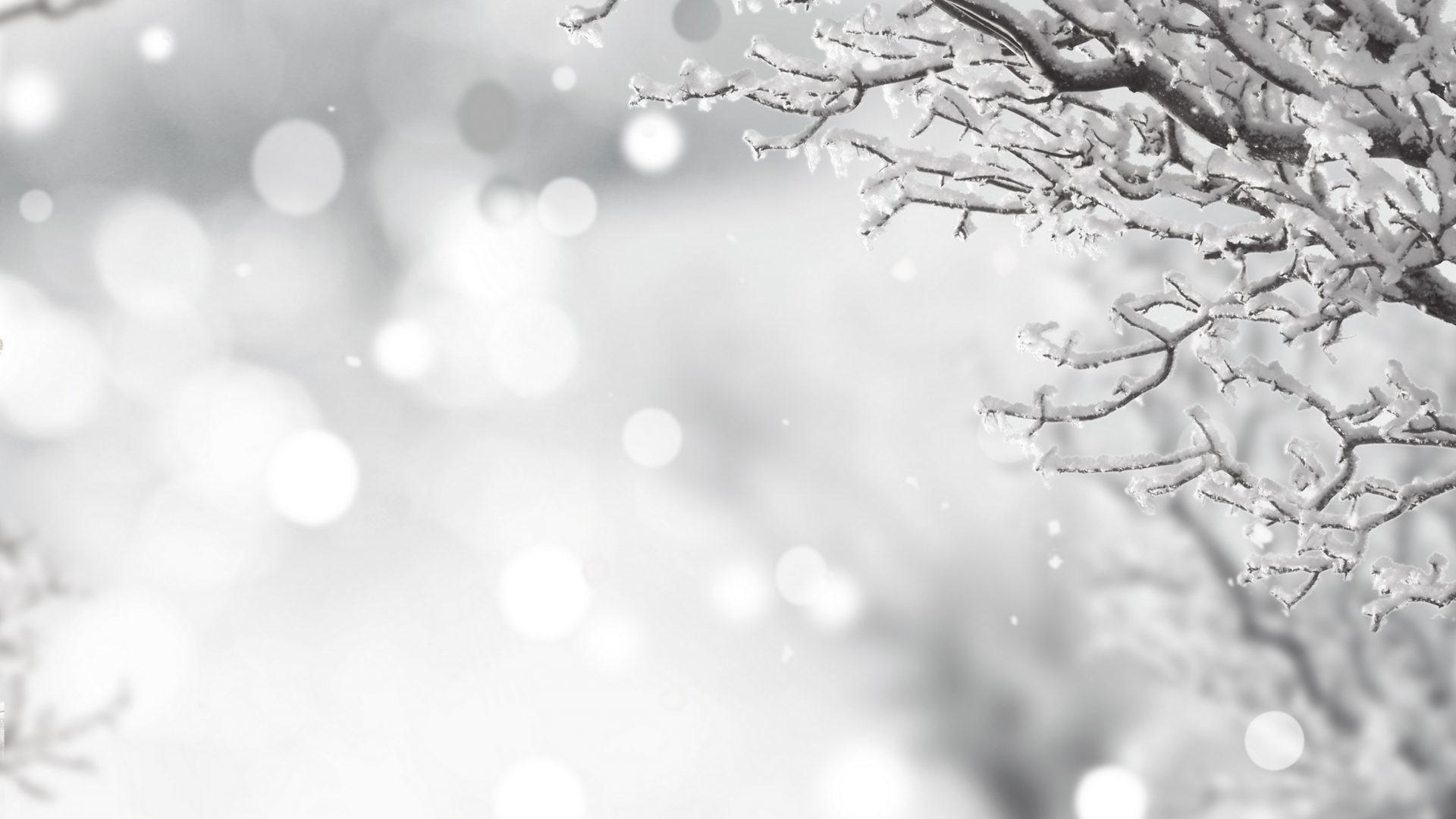 Snow Christmas Wallpaper