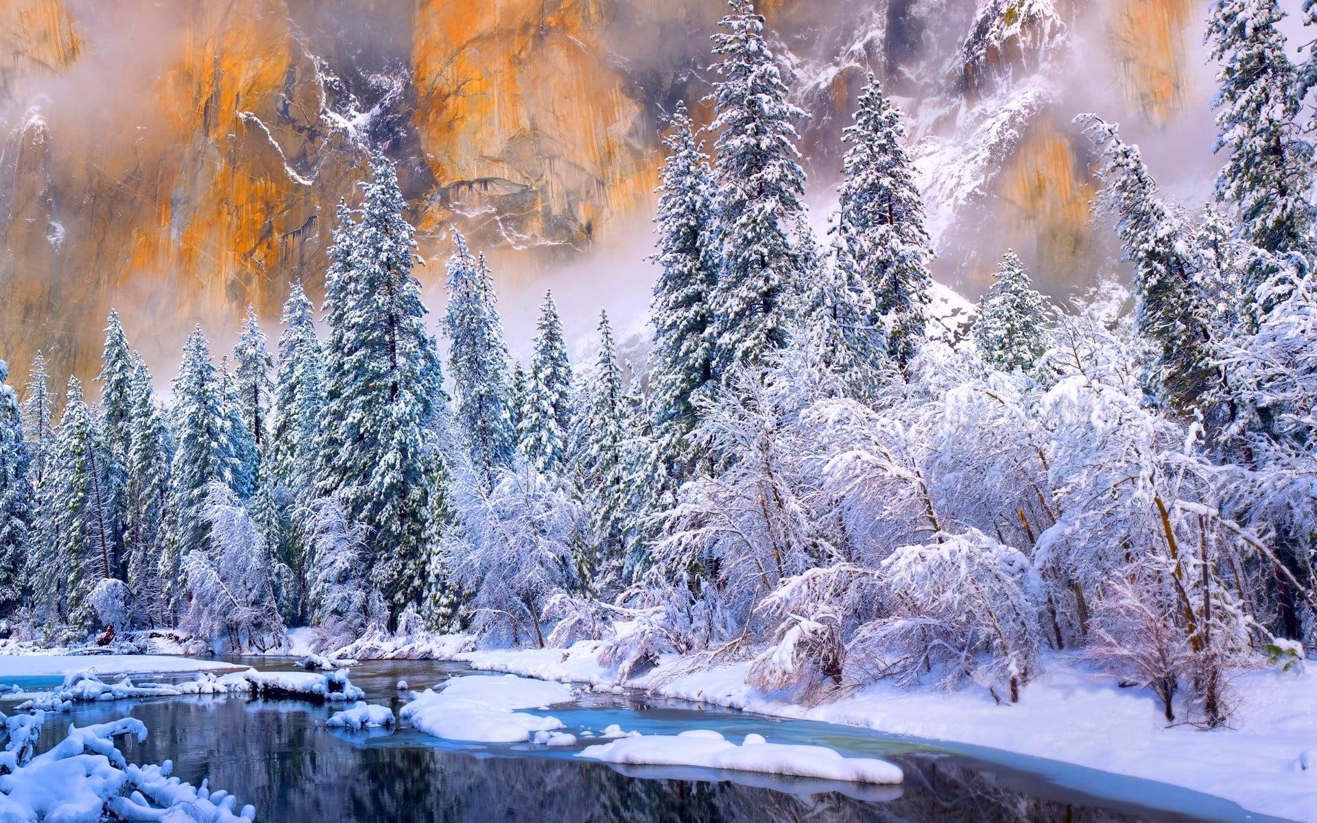 Artwork of landscape covered with snow, winter, Yosemite