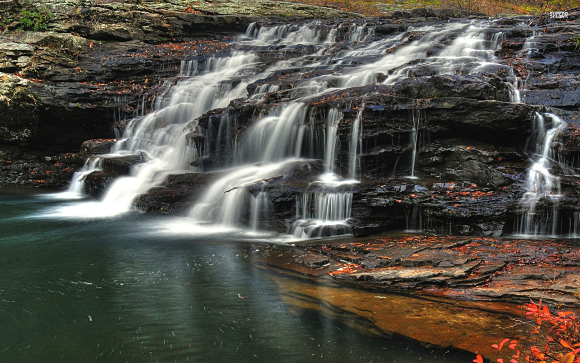 Trees Foliage Bench Misty Park wallpaper. Trees Foliage